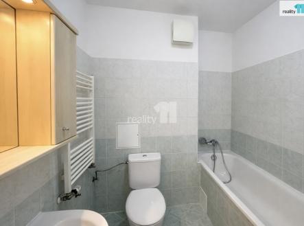 Pronájem bytu, 1+kk, 49 m²