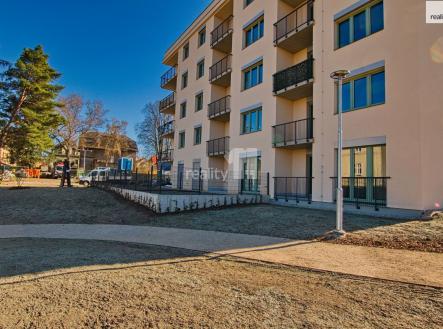 Orchid Casel de Paradise.