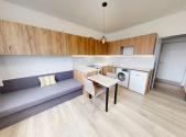 Pronájem bytu, 1+kk, 19 m²