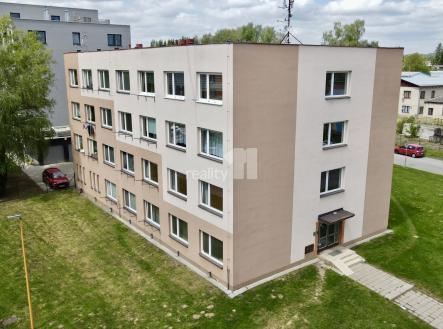 Pronájem bytu, 1+kk, 19 m²