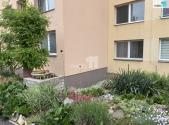 Pronájem bytu, 1+kk, 30 m²