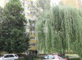 Prodej bytu, 4+1, 68 m²