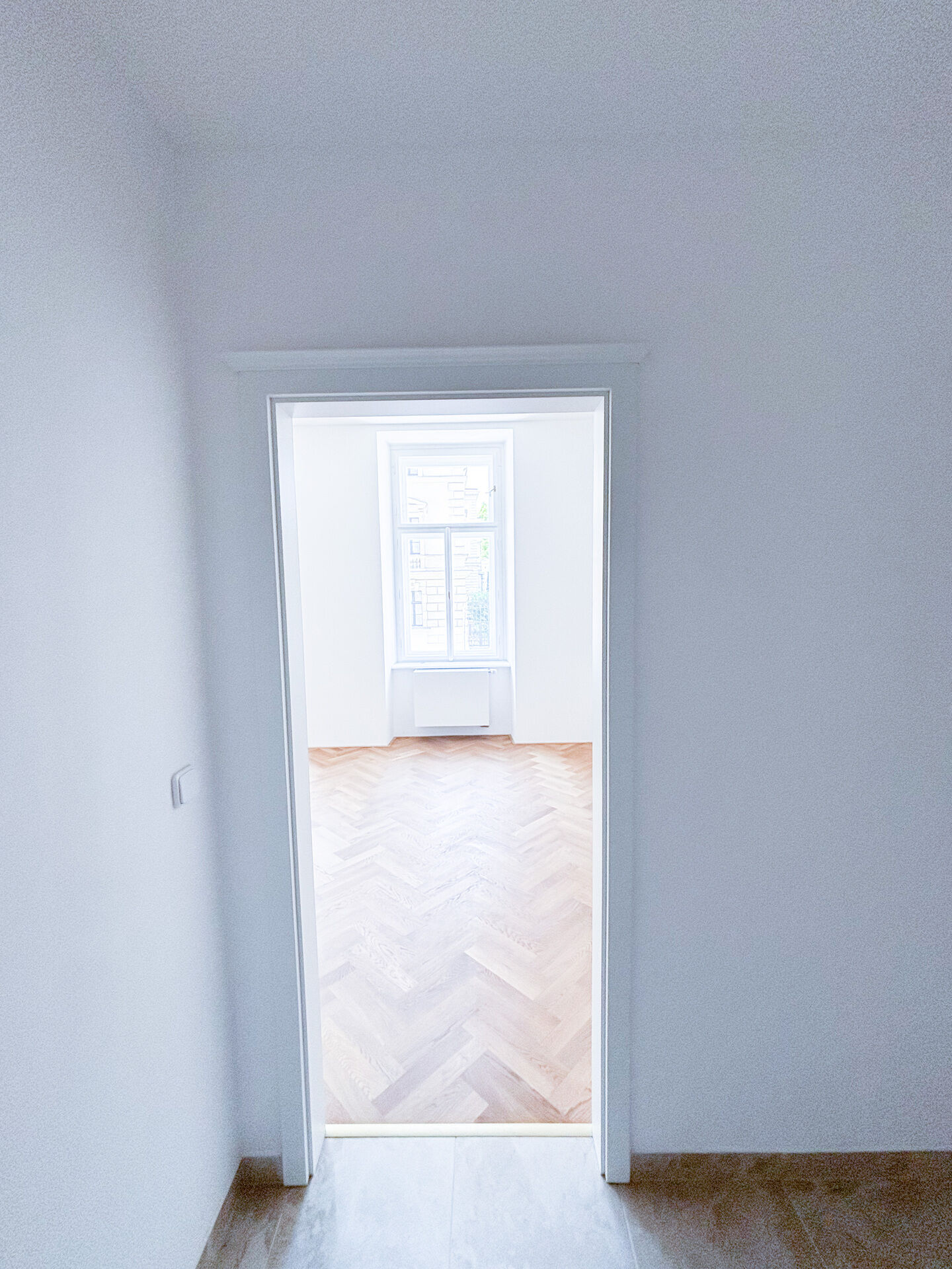 Fotku se nepodařilo načíst.