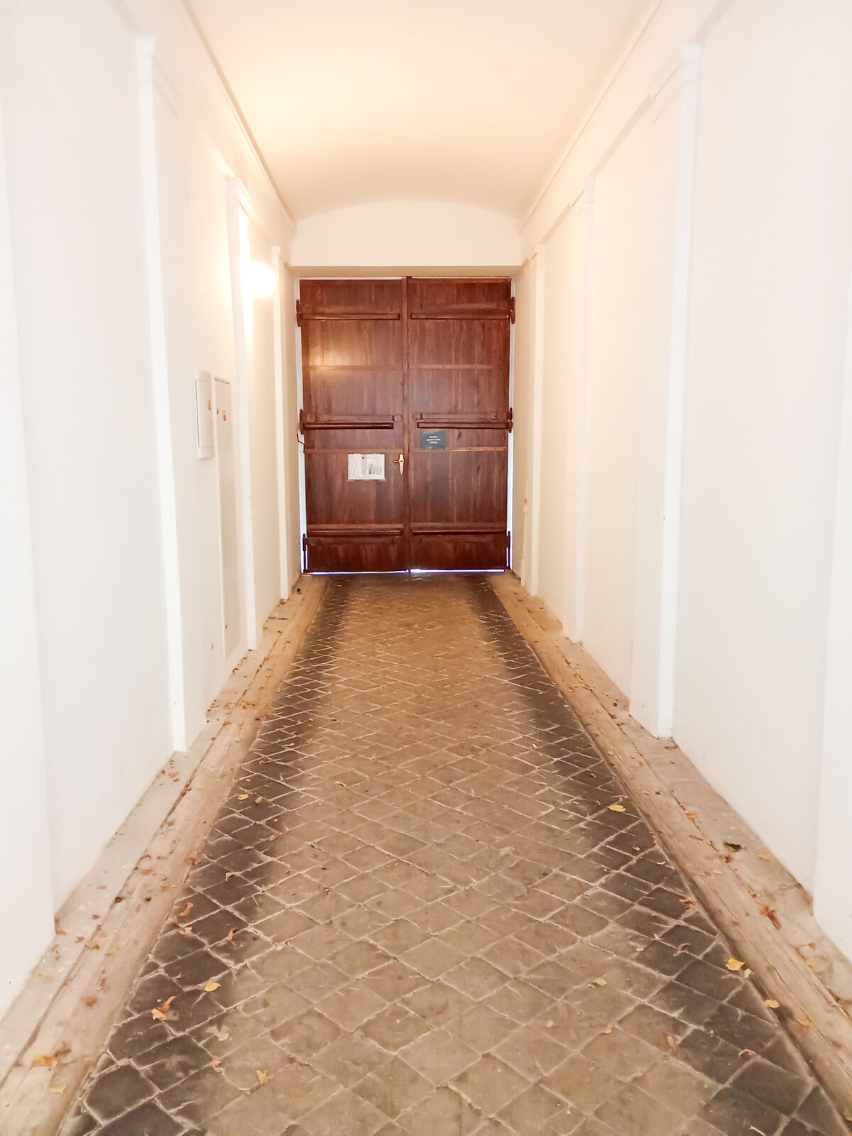 Fotku se nepodařilo načíst.