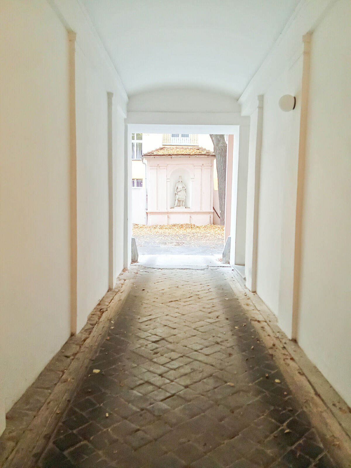 Fotku se nepodařilo načíst.