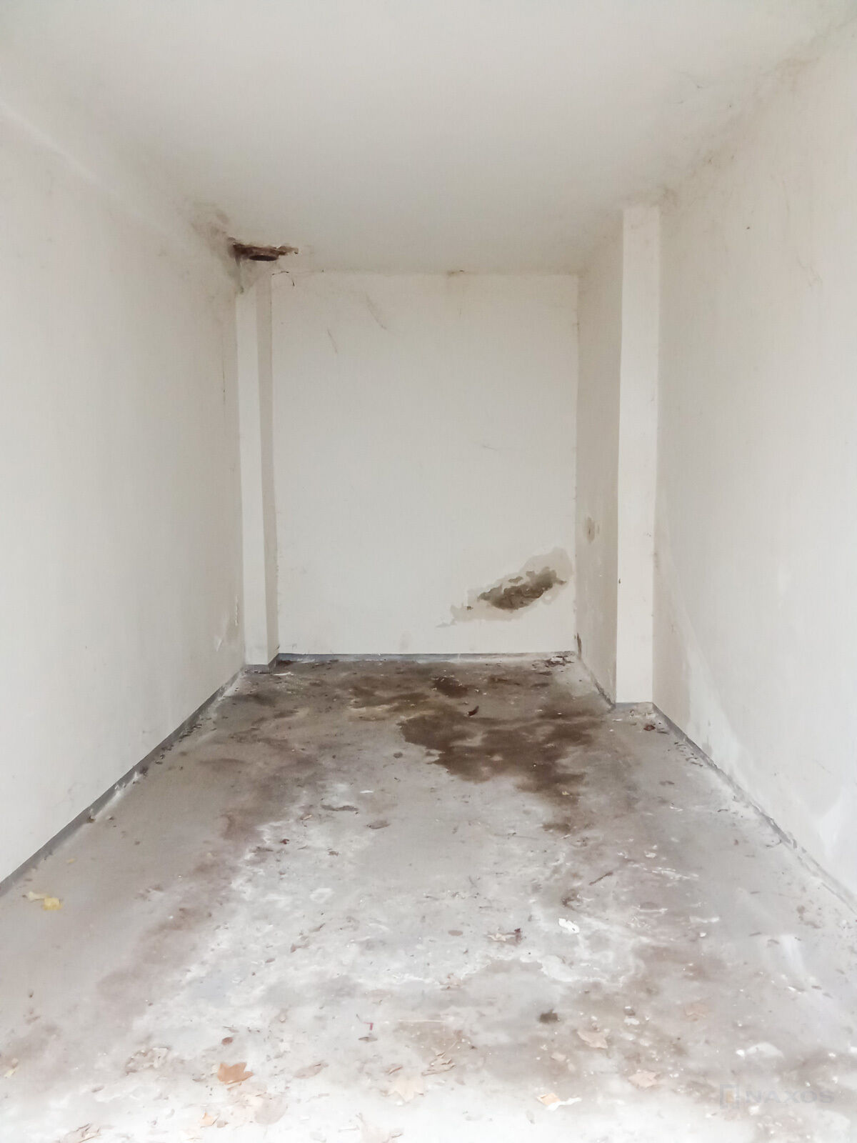 Fotku se nepodařilo načíst.