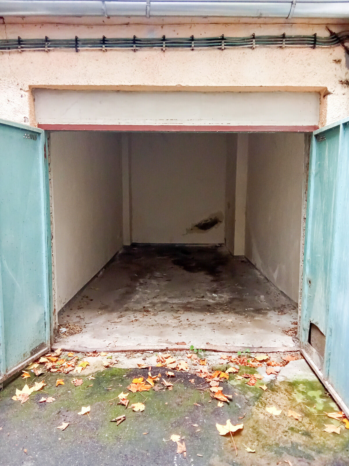 Fotku se nepodařilo načíst.