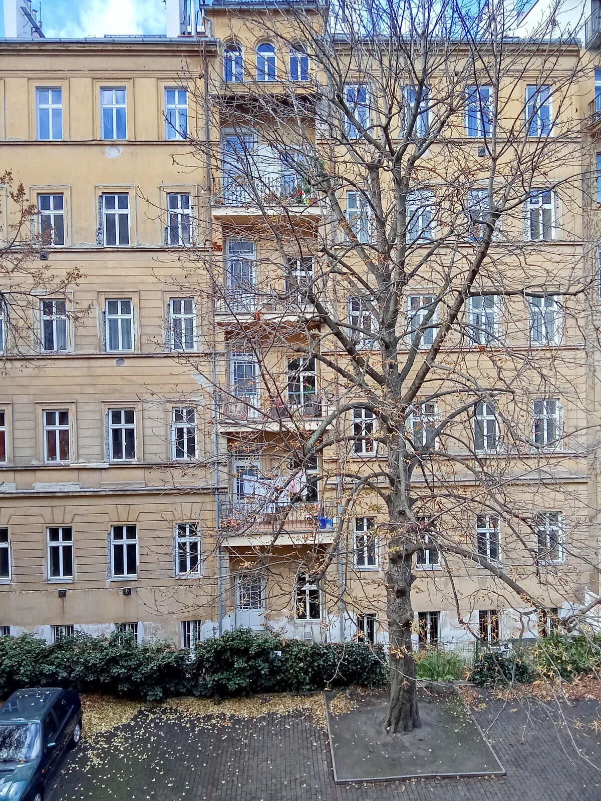 Fotku se nepodařilo načíst.