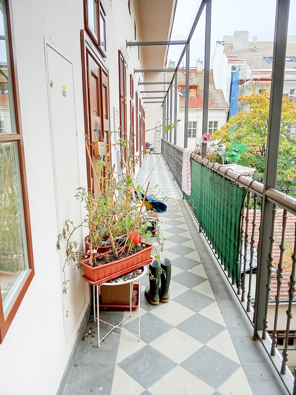 Fotku se nepodařilo načíst.