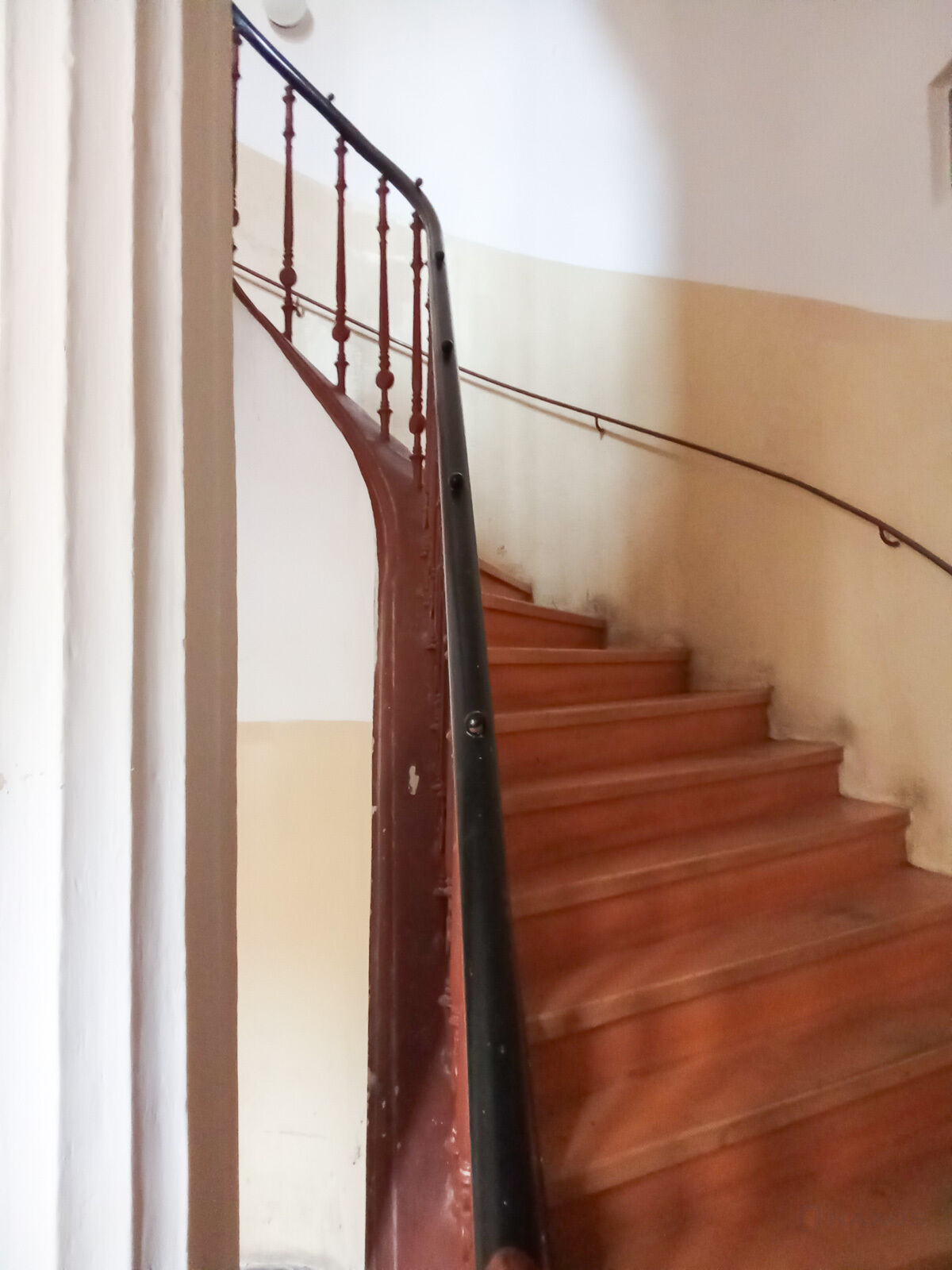 Fotku se nepodařilo načíst.