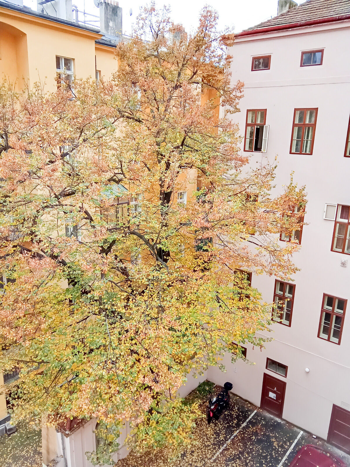 Fotku se nepodařilo načíst.