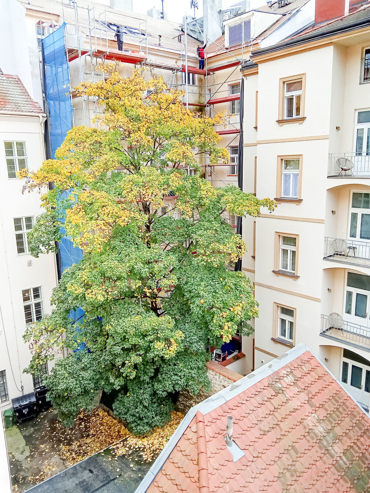 Fotku se nepodařilo načíst.