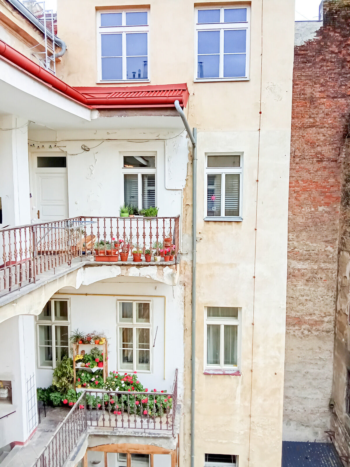 Fotku se nepodařilo načíst.