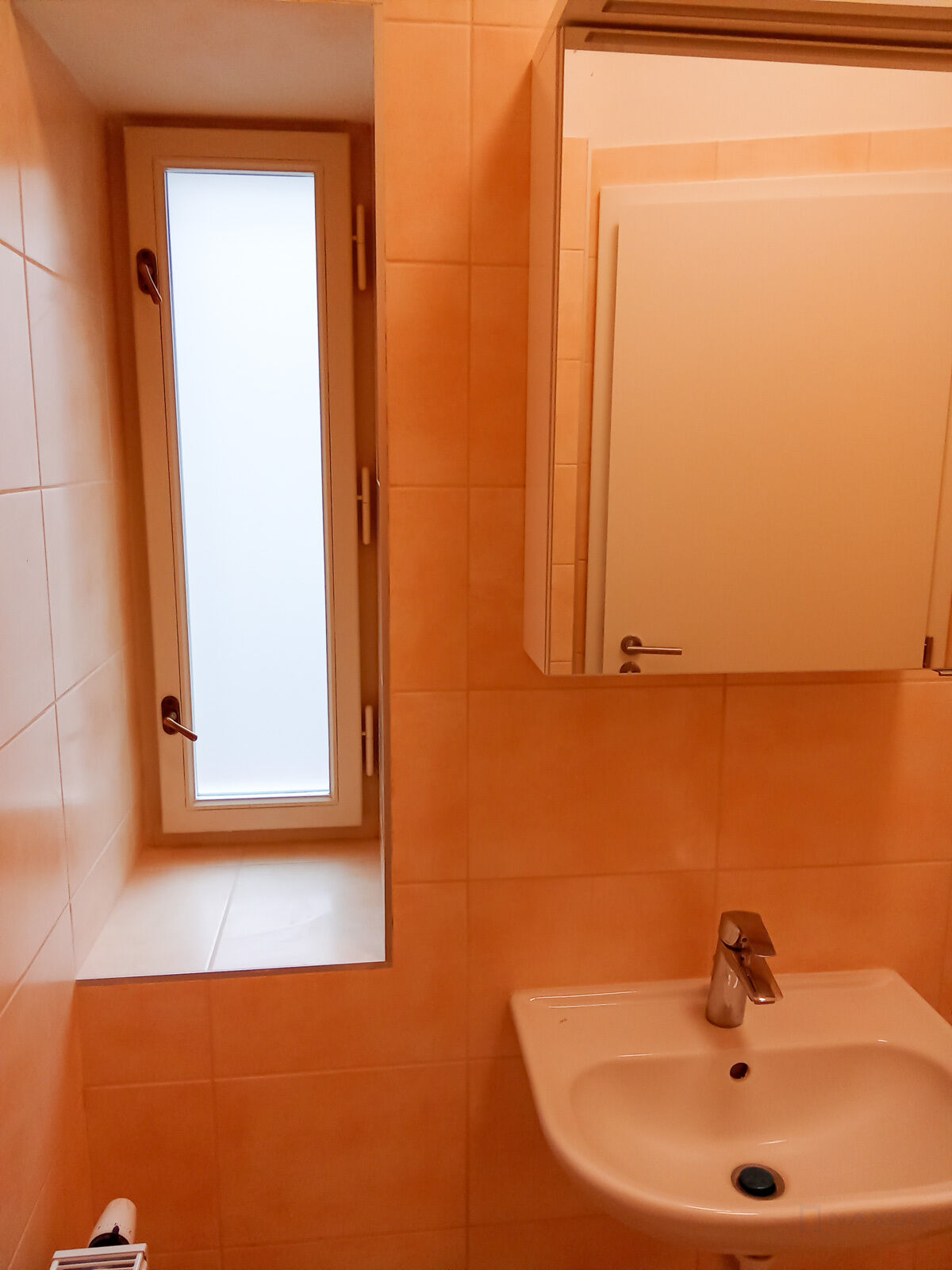 Fotku se nepodařilo načíst.