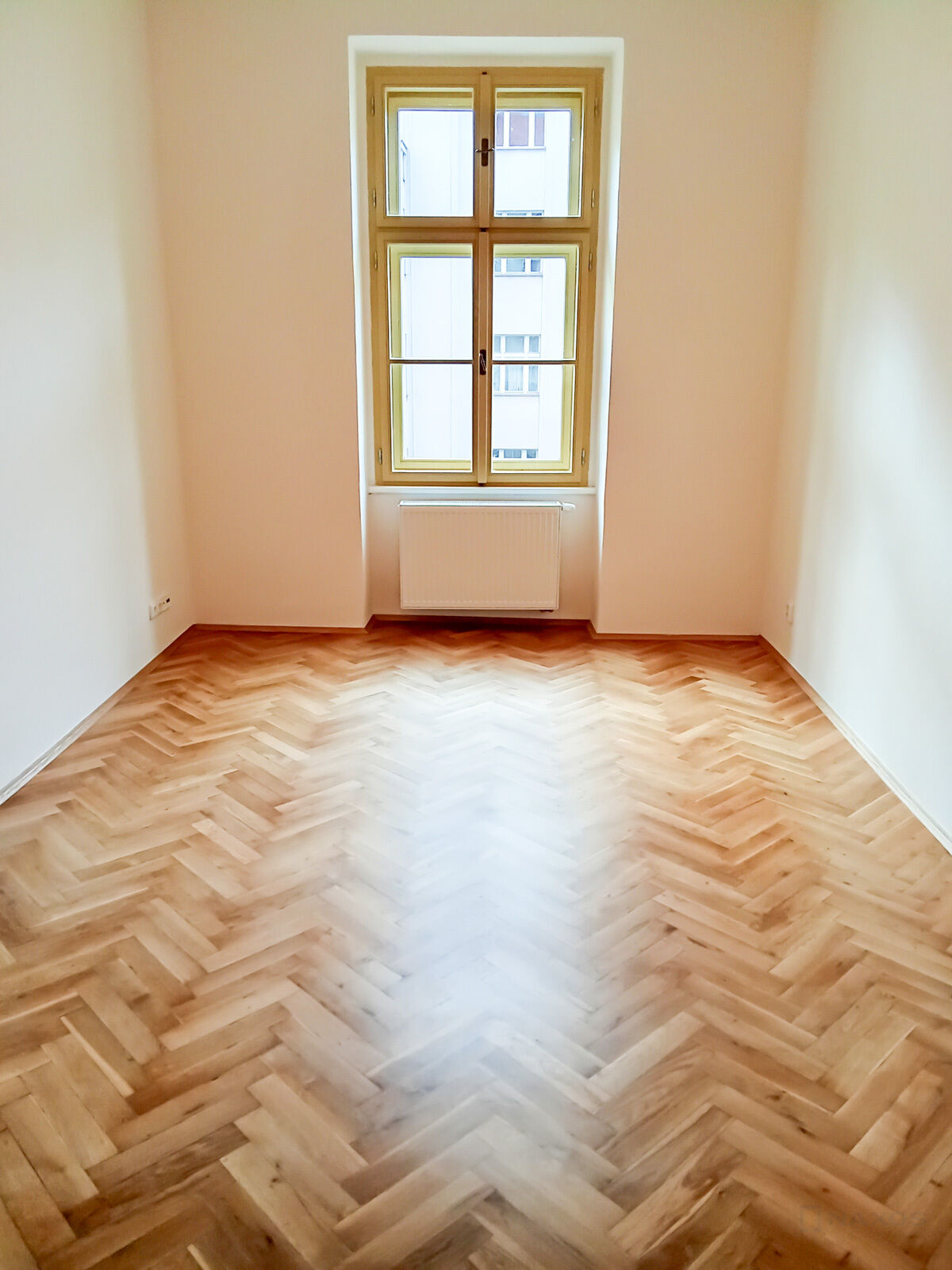 Fotku se nepodařilo načíst.