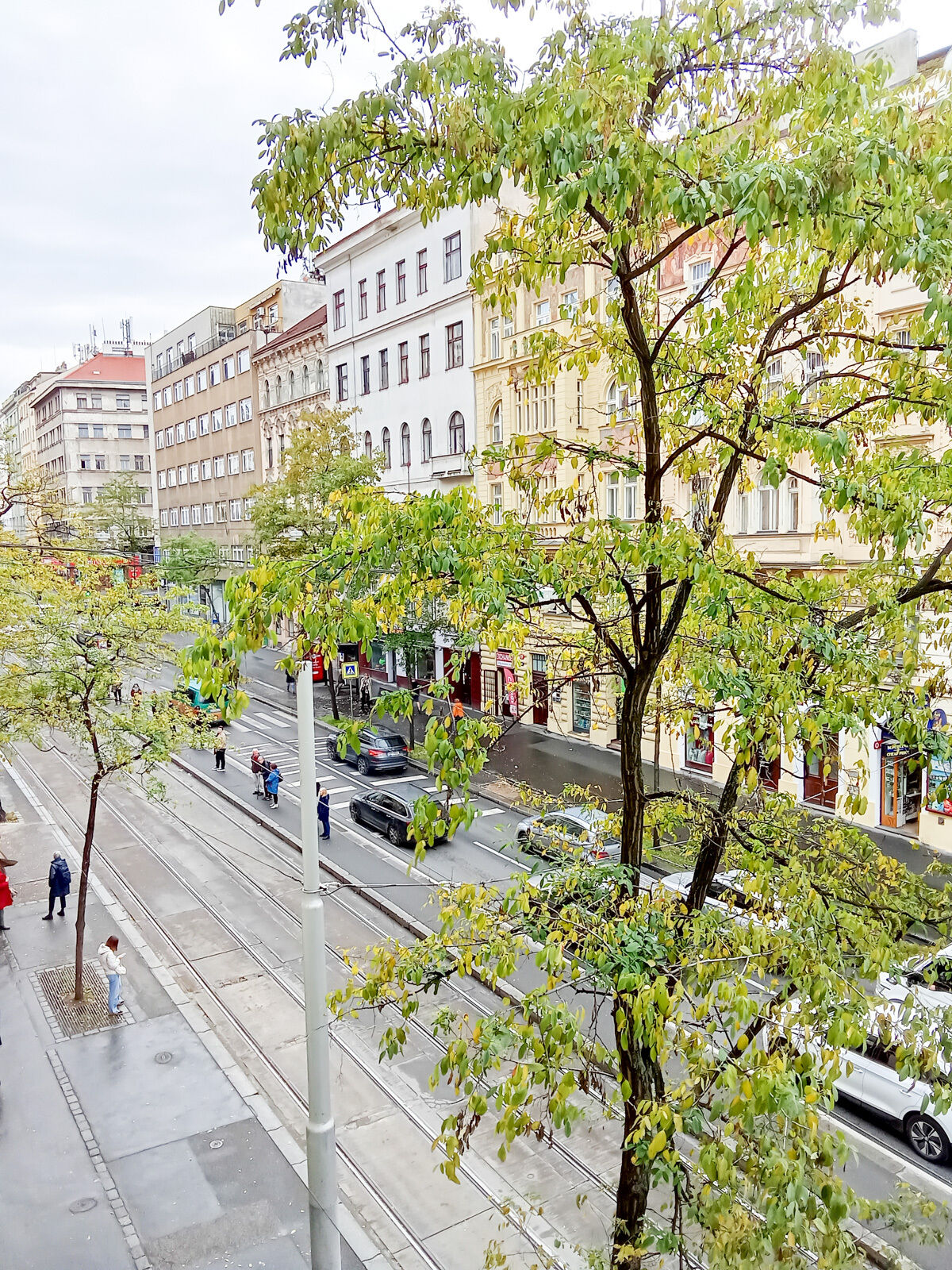 Fotku se nepodařilo načíst.