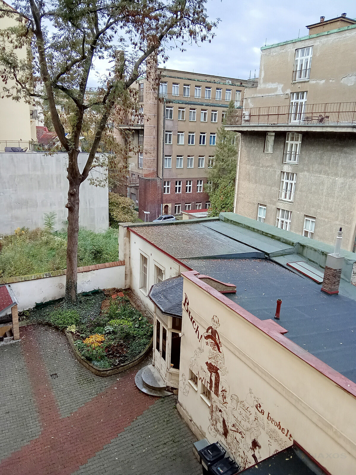 Fotku se nepodařilo načíst.