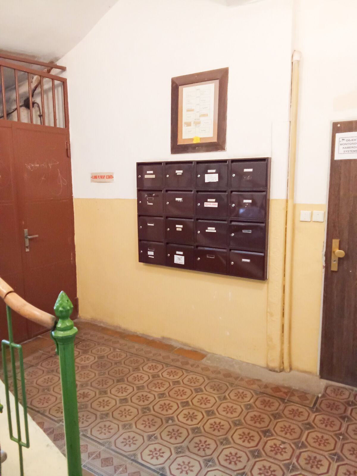 Fotku se nepodařilo načíst.