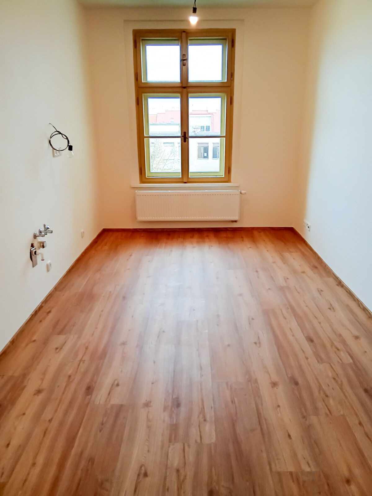 Fotku se nepodařilo načíst.