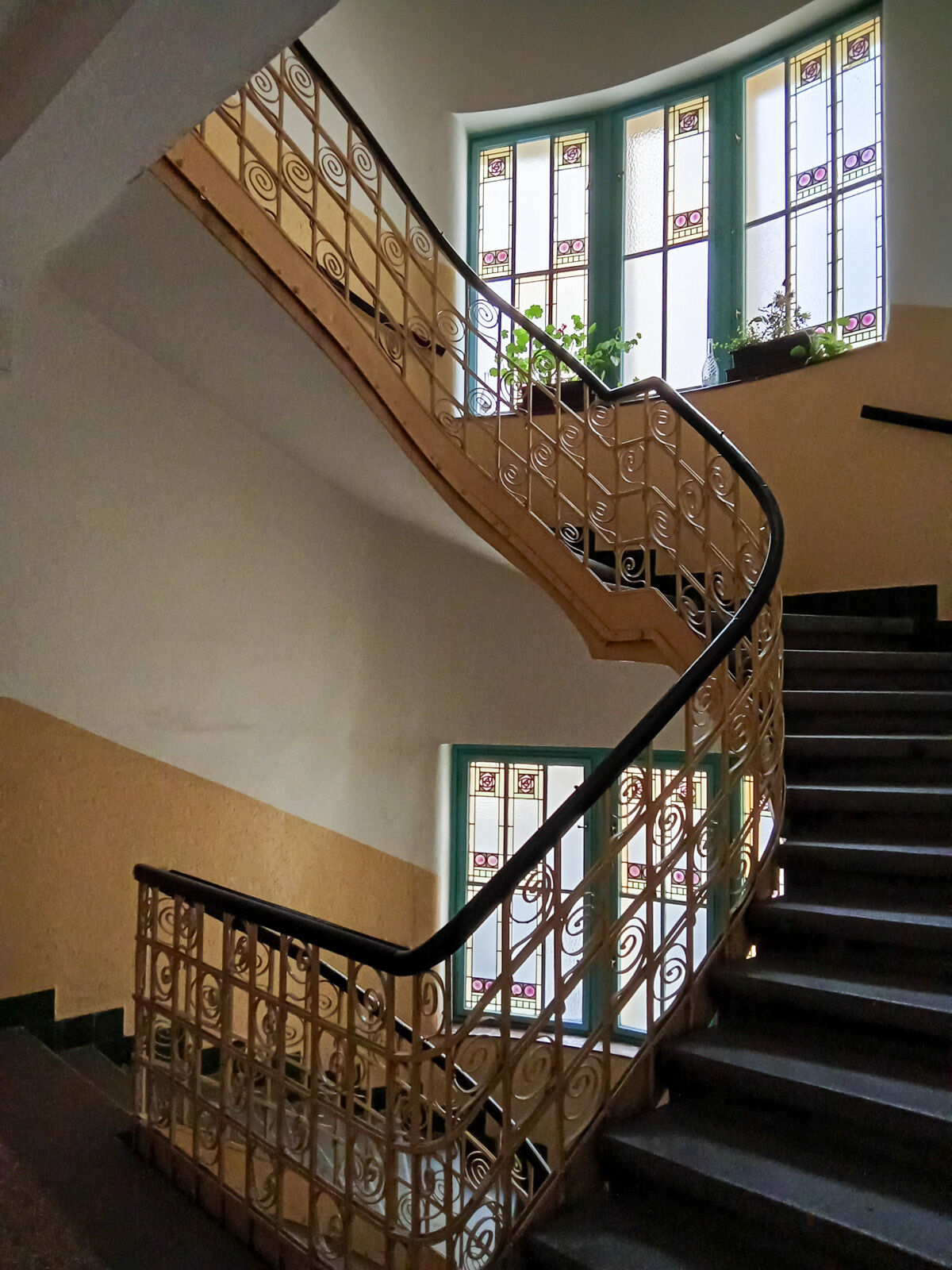 Fotku se nepodařilo načíst.