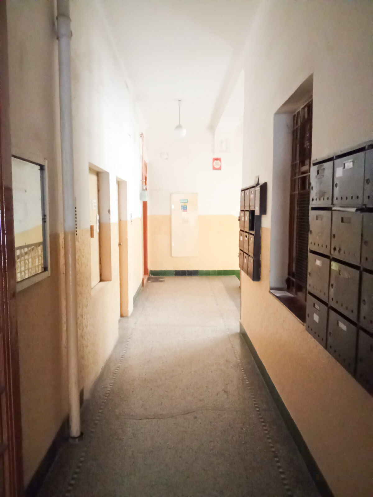 Fotku se nepodařilo načíst.