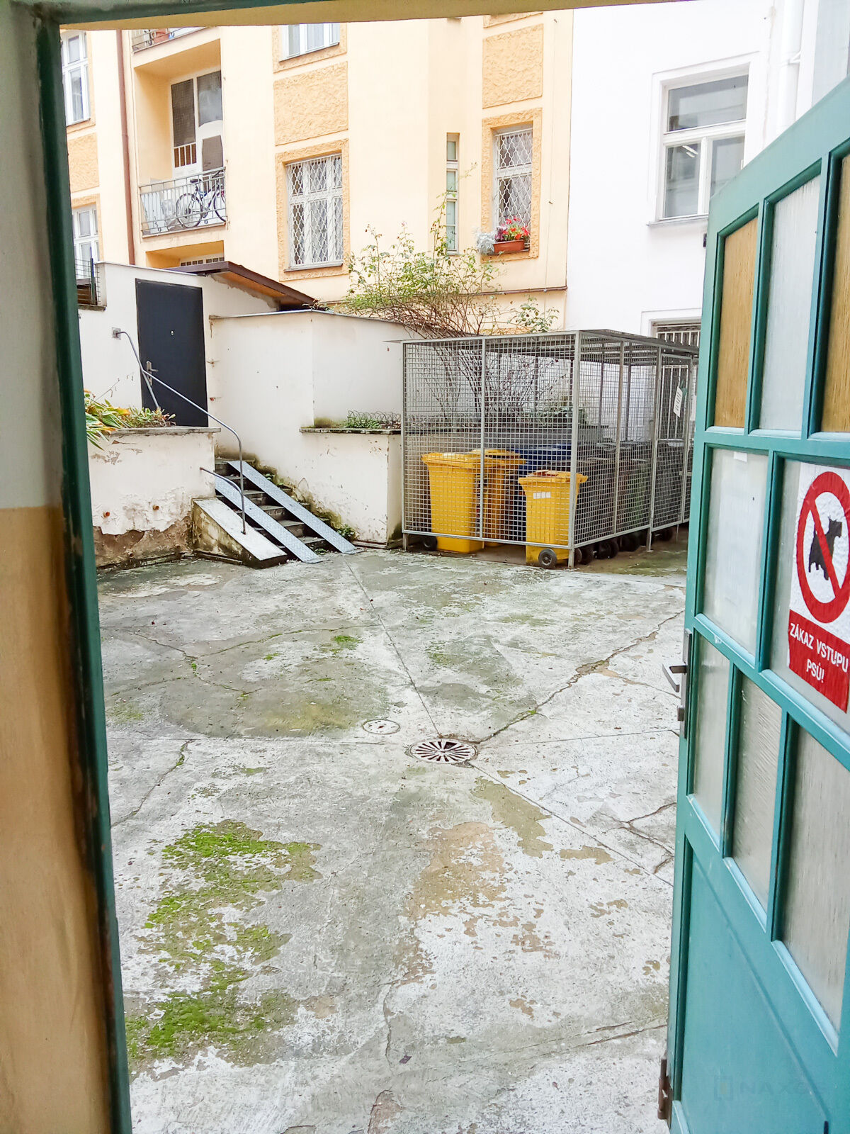 Fotku se nepodařilo načíst.