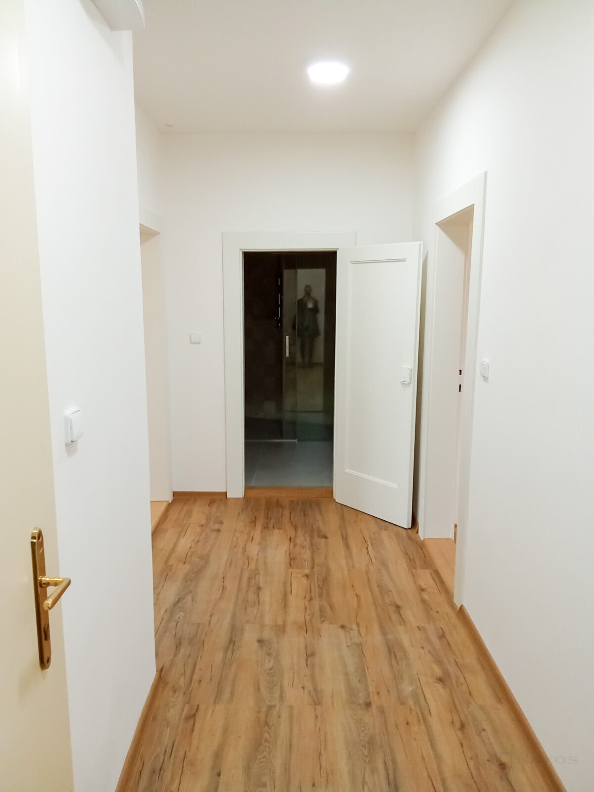 Fotku se nepodařilo načíst.