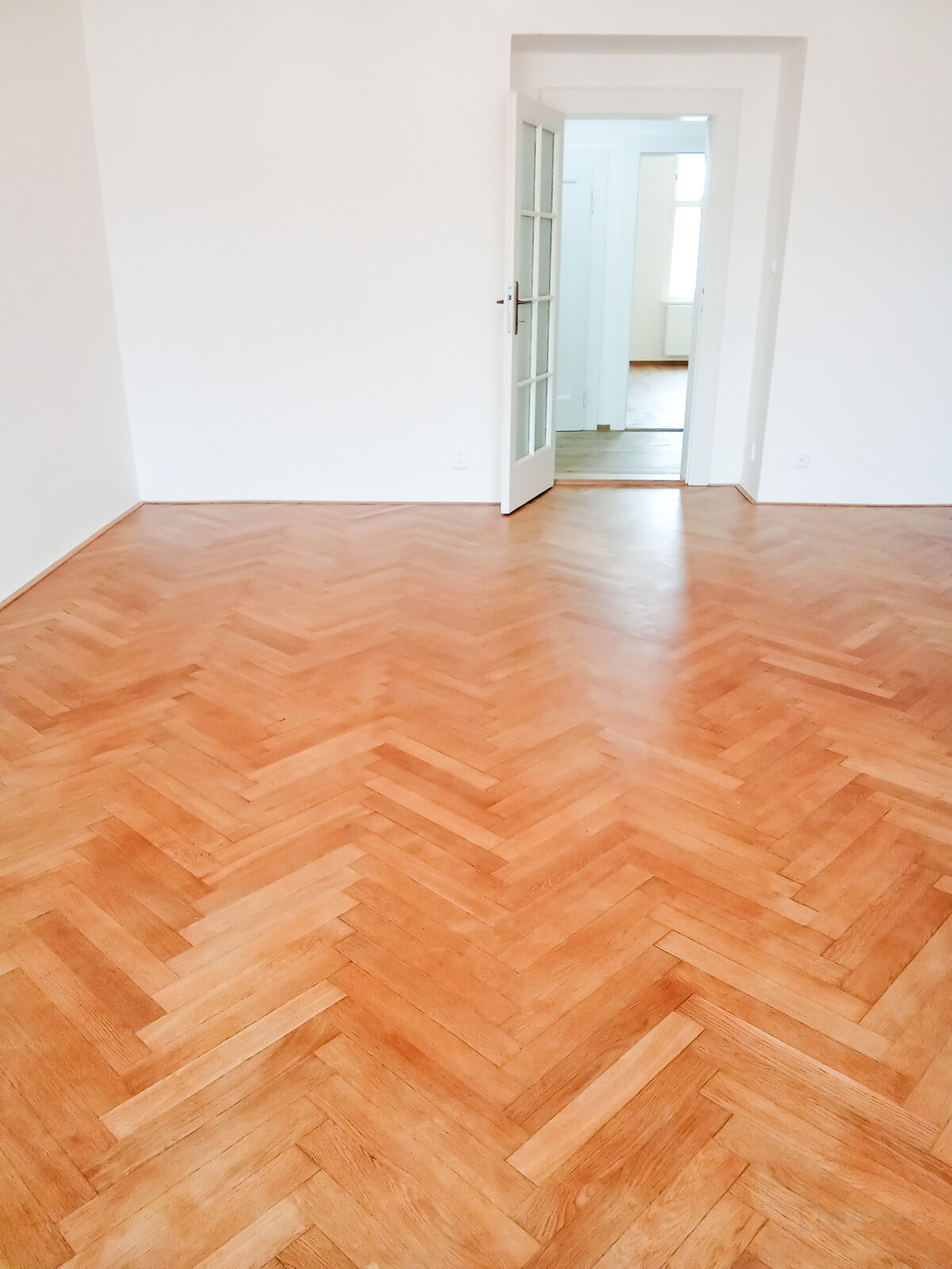 Fotku se nepodařilo načíst.