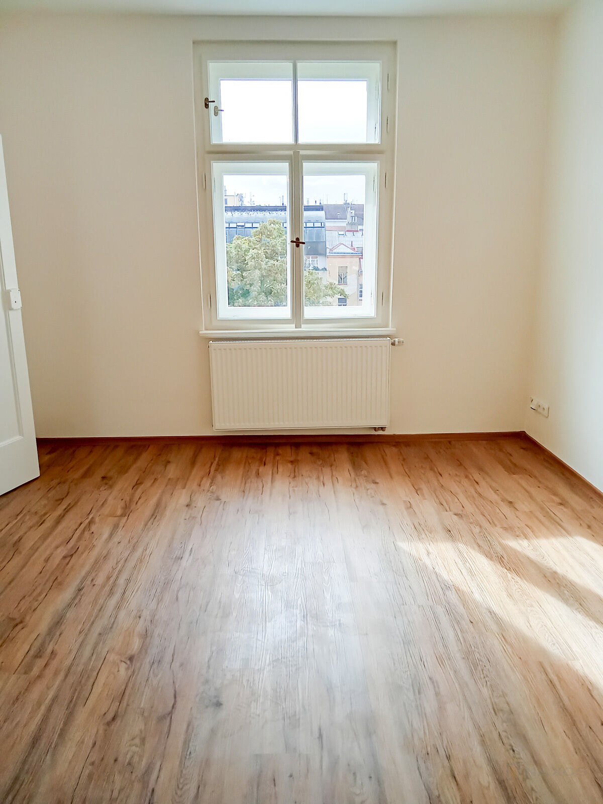 Fotku se nepodařilo načíst.