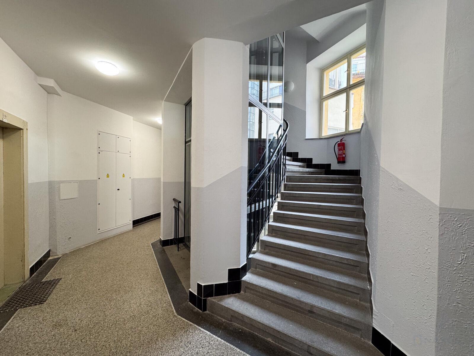 Fotku se nepodařilo načíst.