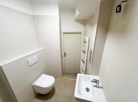 Pronájem bytu, 1+1, 37 m²