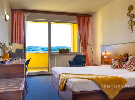 Prodej bytu, 1+kk, 30 m²