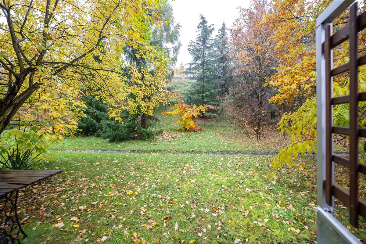 Fotku se nepodařilo načíst.