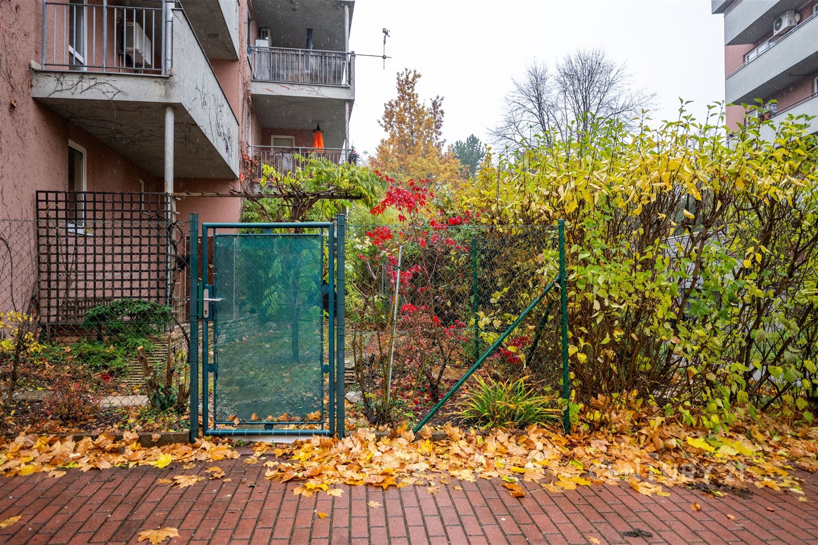 Fotku se nepodařilo načíst.