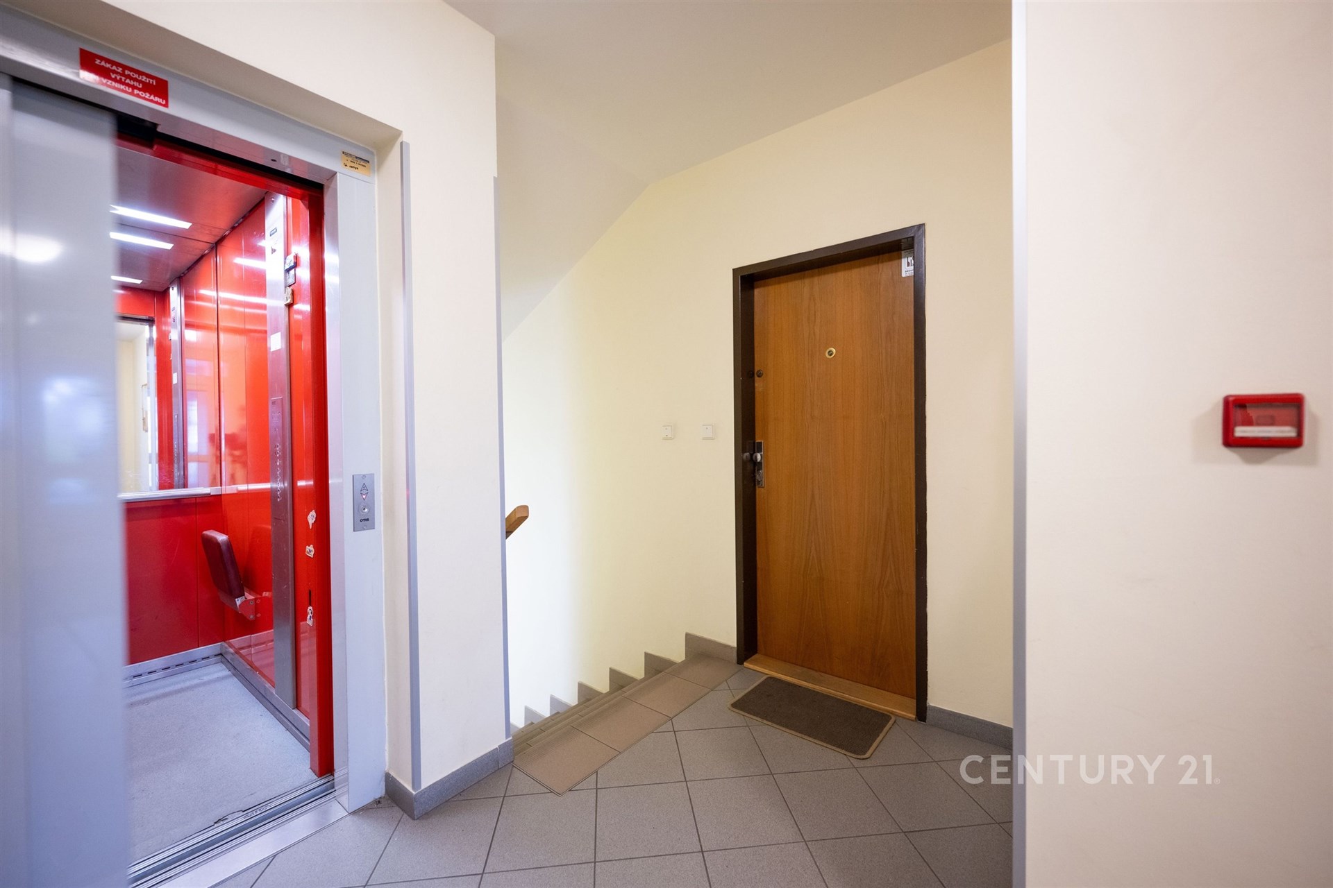 Fotku se nepodařilo načíst.