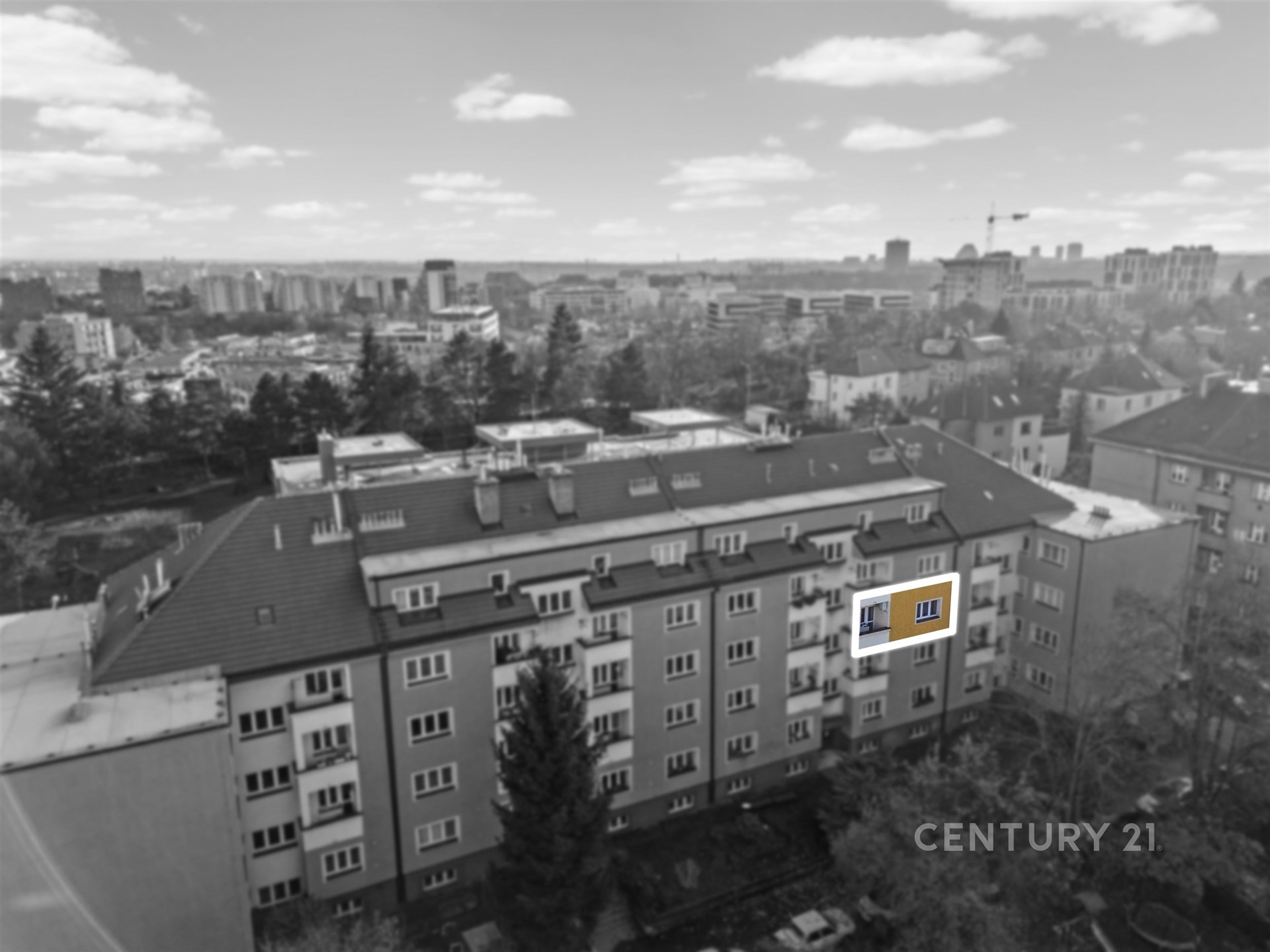 Fotku se nepodařilo načíst.