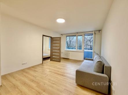 Prodej bytu, 2+1, 46 m²