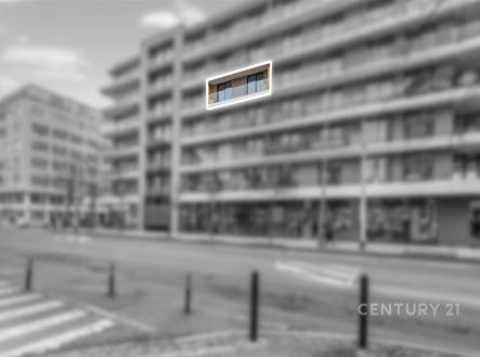 Pronájem bytu, atypický, 167 m²