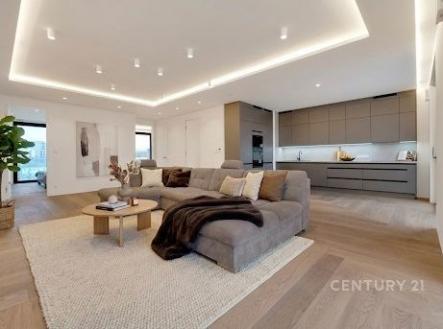 Pronájem bytu, atypický, 167 m²