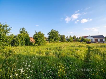 Prodej pozemku pro bydlení, 1 124 m²