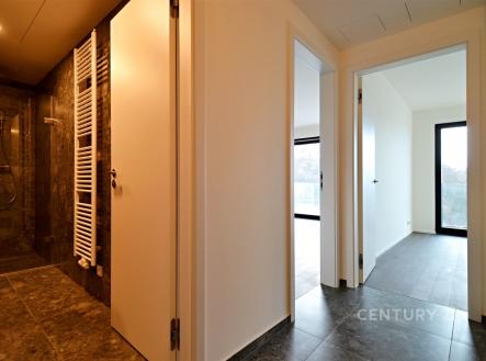 Pronájem bytu, 2+kk, 51 m²