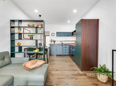 Prodej bytu, 3+kk, 58 m²