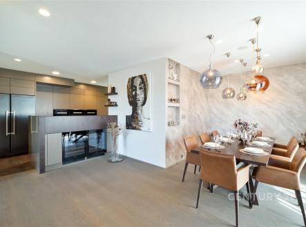 Prodej bytu, 5+kk, 317 m²