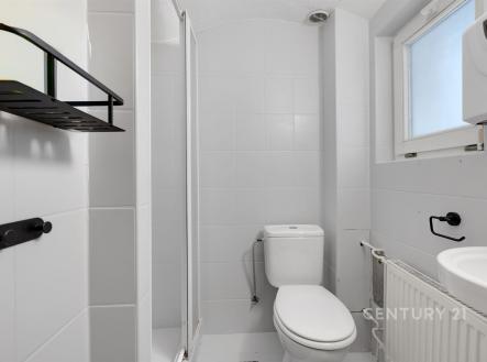 Prodej nájemního domu, 435 m²