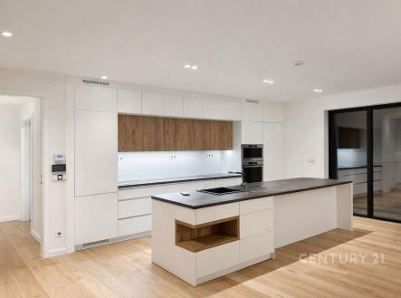 Pronájem domu/vily, 299 m²