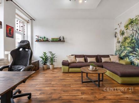 Prodej nájemního domu, 320 m²