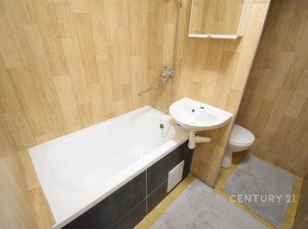 Pronájem bytu, 1+1, 36 m²
