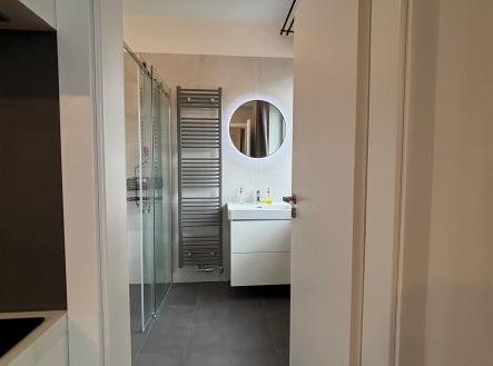 Pronájem bytu, 2+kk, 53 m²