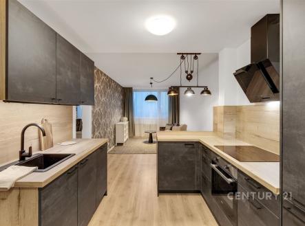Prodej bytu, 2+kk, 46 m²