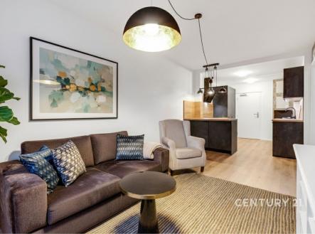 Prodej bytu, 2+kk, 46 m²